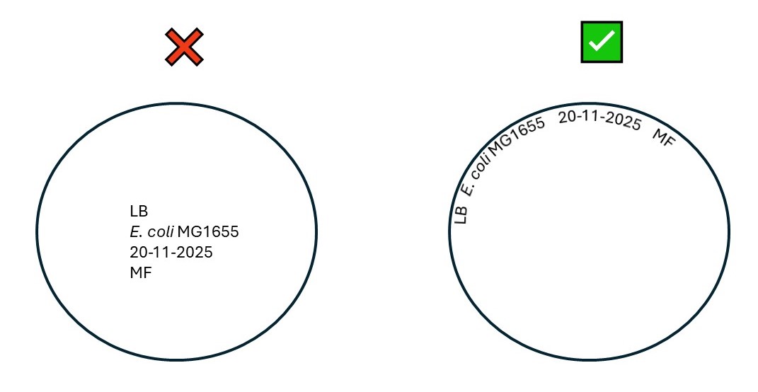 Label around the rim of the Petri plate - not across the centre